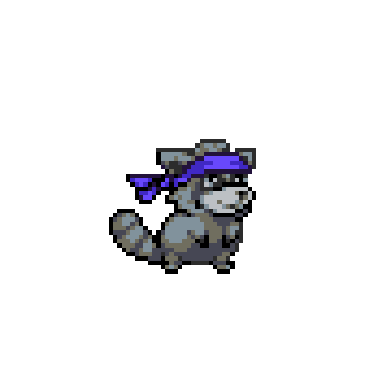 Raccoon