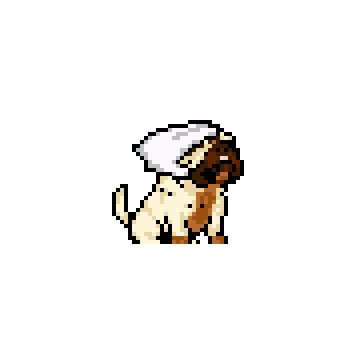 Pet